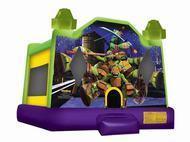 Standard Bounce Houses (15ft x 15ft) Standard Bounce Houses (15ft x 15ft)